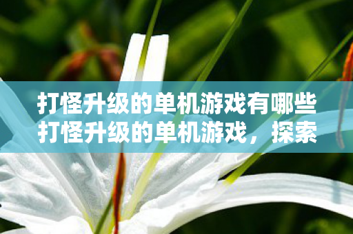 打怪升级的单机游戏有哪些打怪升级的单机游戏，探索未知世界的奇妙之旅，探索未知世界的奇妙之旅，推荐几款打怪升级的单机游戏