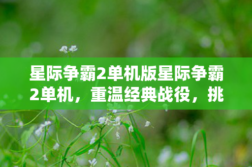 星际争霸2单机版星际争霸2单机图片