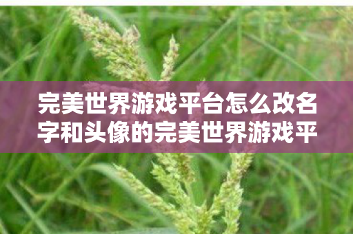 完美世界游戏平台怎么改名字和头像的完美世界游戏平台图片