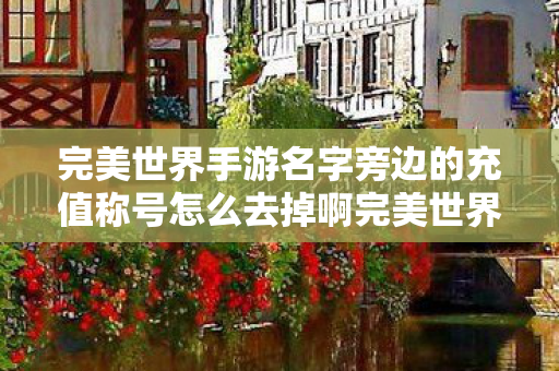 完美世界手游名字旁边的充值称号怎么去掉啊完美世界手游图片