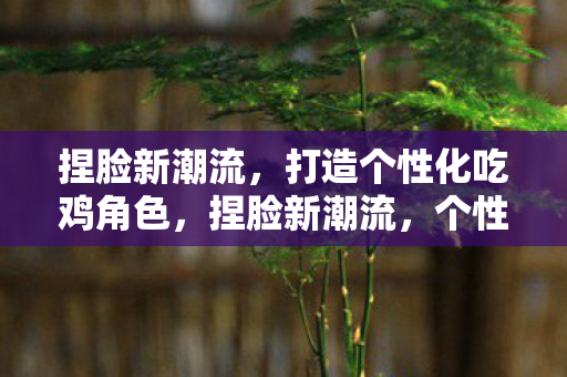 捏脸新潮流,打造个性化吃鸡角色,捏脸新潮流,个性化吃鸡角色打造 捏脸新潮流,打造个性化吃鸡角色,捏脸新潮流,个性化吃鸡角色打造