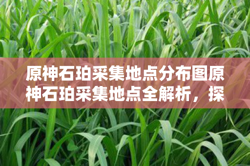 原神石珀采集地点分布图原神石珀采集地点全解析,探索提瓦特大陆的珍贵宝石,原神石珀采集地点全解析,探索提瓦特大陆的珍贵宝石 原神石珀采集地点分布图原神石珀采集地点全解析,探索提瓦特大陆的珍贵宝石,原神石珀采集地点全解析,探索提瓦特大陆的珍贵宝石