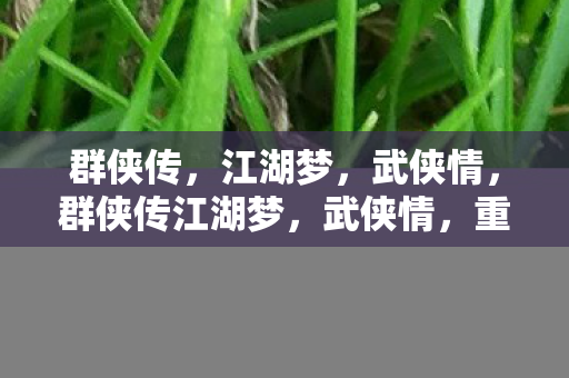 群侠传，江湖梦，武侠情，群侠传江湖梦，武侠情，重温经典武侠世界