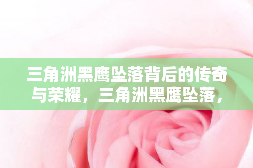 三角洲黑鹰坠落背后的传奇与荣耀，三角洲黑鹰坠落，传奇背后的荣耀与挑战