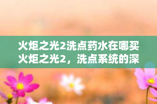 火炬之光2洗点药水在哪买火炬之光2图片