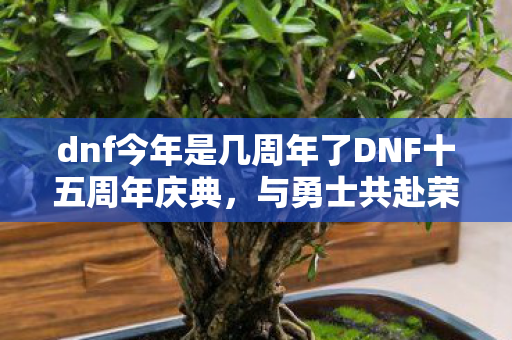 dnf今年是几周年了DNF十五周年庆典，与勇士共赴荣耀之路，DNF十五周年庆典，与勇士共赴荣耀之路