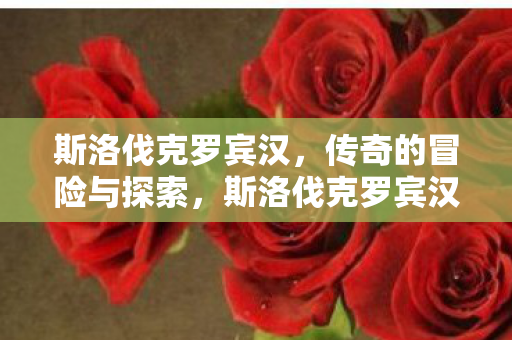 斯洛伐克罗宾汉，传奇的冒险与探索，斯洛伐克罗宾汉，传奇冒险与探索之旅
