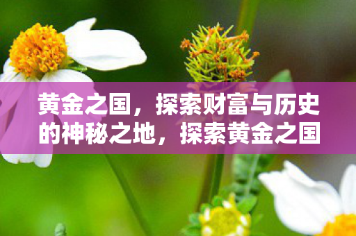 黄金之国,探索财富与历史的神秘之地,探索黄金之国的财富与历史,神秘之地揭秘 黄金之国,探索财富与历史的神秘之地,探索黄金之国的财富与历史,神秘之地揭秘