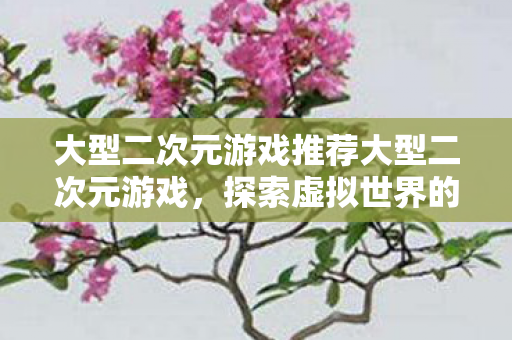 大型二次元游戏推荐大型二次元游戏，探索虚拟世界的无限可能，探索虚拟世界，推荐大型二次元游戏