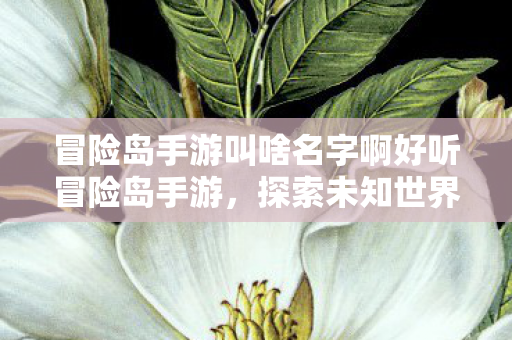 冒险岛手游叫啥名字啊好听冒险岛手游，探索未知世界的奇妙之旅，冒险岛手游，探索未知世界的奇妙之旅