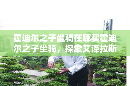 霍迪尔之子坐骑在哪买霍迪尔之子坐骑，探索艾泽拉斯的荣耀之旅，探索艾泽拉斯，霍迪尔之子坐骑购买指南