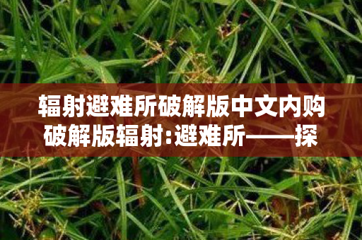 辐射避难所破解版中文内购破解版辐射:避难所——探索废土世界的生存法则，辐射避难所破解版，探索废土世界的生存法则