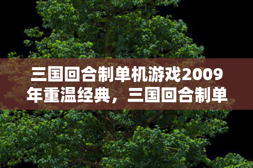 三国回合制单机游戏2009年重温经典,三国回合制单机游戏深度解析,三国回合制单机游戏,2009年重温经典,深度解析游戏魅力 三国回合制单机游戏2009年重温经典,三国回合制单机游戏深度解析,三国回合制单机游戏,2009年重温经典,深度解析游戏魅力
