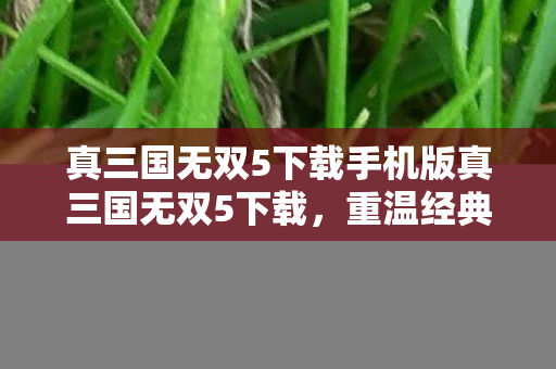 真三国无双5下载手机版真三国无双5下载，重温经典，畅享无双战场的激情，真三国无双5手机版下载，重温经典，畅享无双战场激情