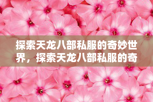 探索天龙八部私服的奇妙世界图片