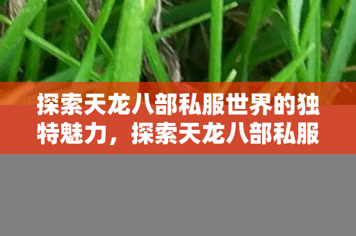 探索天龙八部私服世界的独特魅力图片