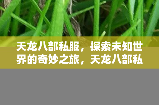 探索未知世界的奇妙冒险之旅图片