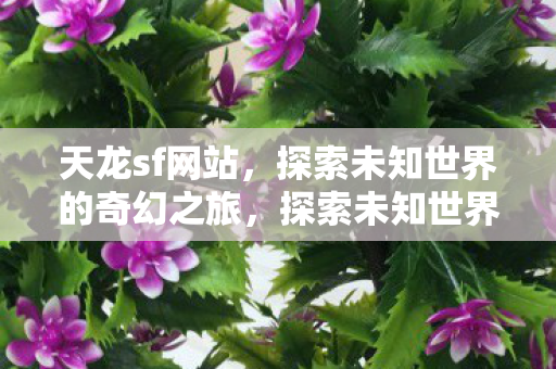 天龙sf网站,探索未知世界的奇幻之旅,探索未知世界的奇幻之旅,天龙sf网站 天龙sf网站,探索未知世界的奇幻之旅,探索未知世界的奇幻之旅,天龙sf网站