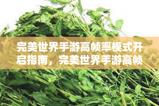 完美世界手游高帧率模式开启指南图片