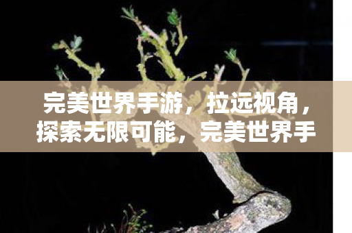 完美世界手游拉远视角图片