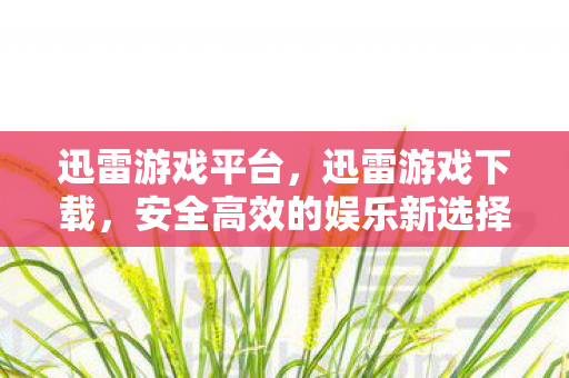 迅雷游戏平台,迅雷游戏下载,安全高效的娱乐新选择 迅雷游戏平台,迅雷游戏下载,安全高效的娱乐新选择