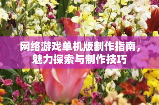 网络游戏单机版制作指南，魅力探索与制作技巧