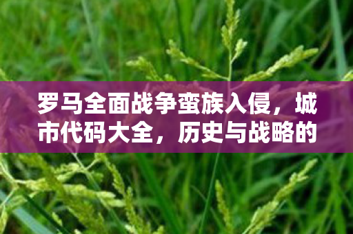 罗马全面战争蛮族入侵图片