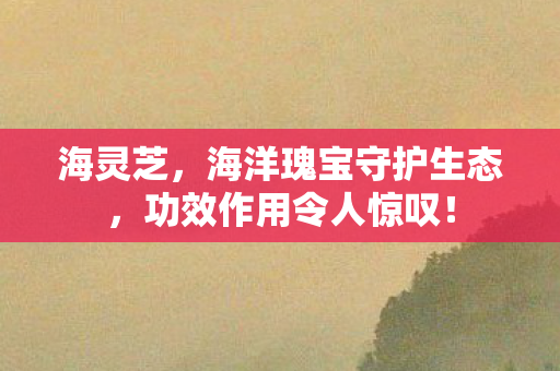 海灵芝,海洋瑰宝守护生态,功效作用令人惊叹! 海灵芝,海洋瑰宝守护生态,功效作用令人惊叹!