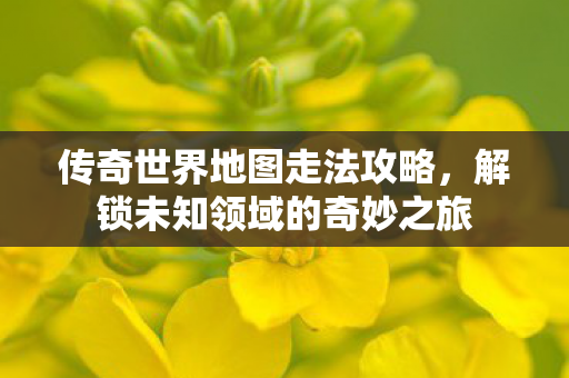 解锁未知领域的奇妙之旅图片