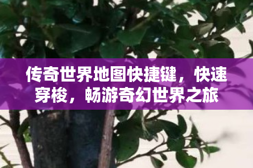 传奇世界地图快捷键图片