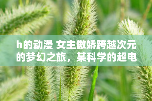 h的动漫 女主傲娇跨越次元的梦幻之旅，某科学的超电磁炮的奇妙世界，某科学的超电磁炮，傲娇女主的梦幻次元之旅