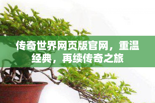 传奇世界网页版官网图片