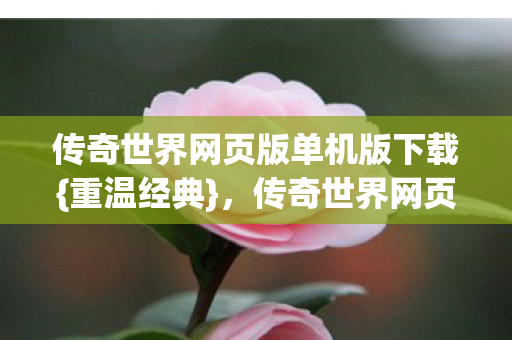 传奇世界网页版单机版下载图片