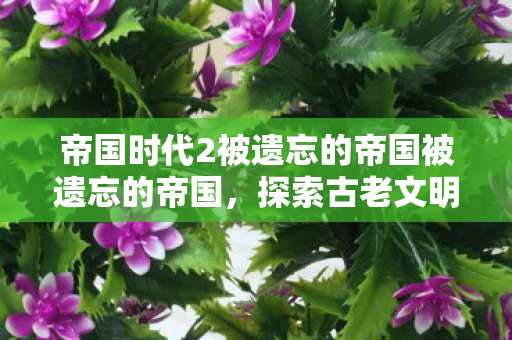帝国时代2被遗忘的帝国被遗忘的帝国,探索古老文明的辉煌与失落,被遗忘的帝国,探索古老文明的辉煌与失落 帝国时代2被遗忘的帝国被遗忘的帝国,探索古老文明的辉煌与失落,被遗忘的帝国,探索古老文明的辉煌与失落