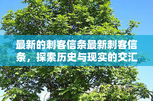 最新的刺客信条最新刺客信条，探索历史与现实的交汇点，刺客信条探索历史与现实的交汇点