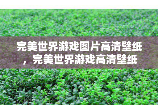 完美世界游戏图片高清壁纸图片