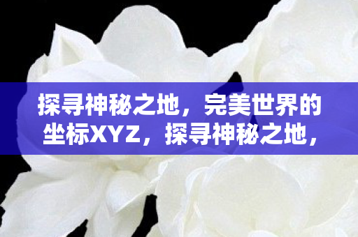完美世界的坐标XYZ图片