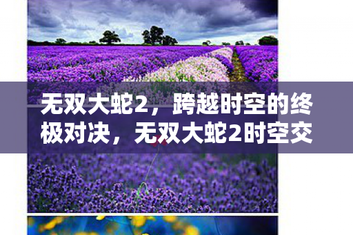 无双大蛇2，跨越时空的终极对决，无双大蛇2时空交错，终极对决震撼登场！