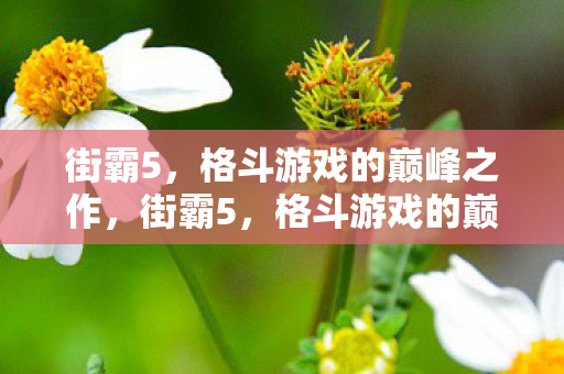 街霸5，格斗游戏的巅峰之作，街霸5，格斗游戏的巅峰之作