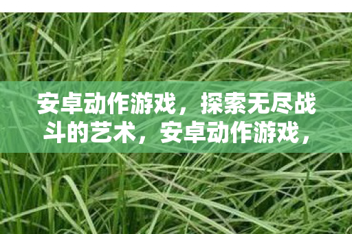 安卓动作游戏,探索无尽战斗的艺术,安卓动作游戏,探索无尽战斗的艺术 安卓动作游戏,探索无尽战斗的艺术,安卓动作游戏,探索无尽战斗的艺术