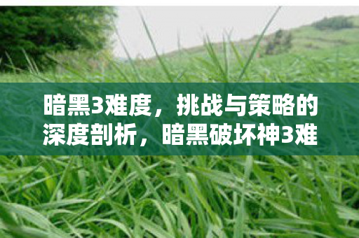 暗黑3难度,挑战与策略的深度剖析,暗黑破坏神3难度挑战与策略深度剖析 暗黑3难度,挑战与策略的深度剖析,暗黑破坏神3难度挑战与策略深度剖析