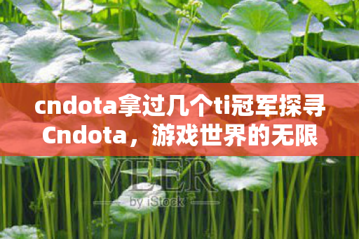 cndota拿过几个ti冠军探寻Cndota，游戏世界的无限可能，Cndota，探寻游戏世界的无限可能，共夺几个TI冠军？