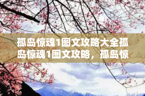 孤岛惊魂1图文攻略大全孤岛惊魂1图文攻略，孤岛惊魂1全攻略，图文详解