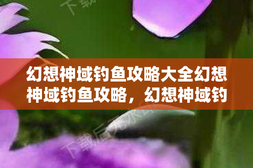 幻想神域钓鱼攻略大全幻想神域钓鱼攻略，幻想神域钓鱼攻略全解析
