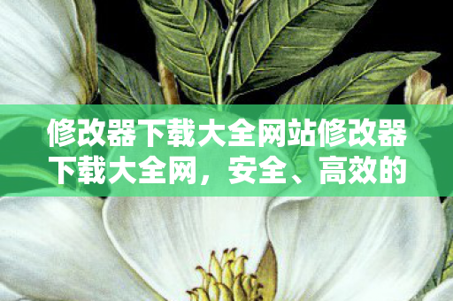 修改器下载大全网站修改器下载大全网，安全、高效的游戏辅助工具集合，游戏修改器下载大全，安全高效的游戏辅助工具集合