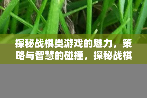 探秘战棋类游戏的魅力，策略与智慧的碰撞，探秘战棋类游戏的魅力，策略与智慧的碰撞