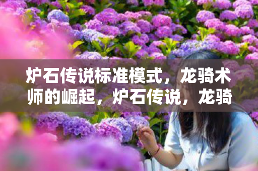炉石传说标准模式,龙骑术师的崛起,炉石传说,龙骑术师在标准模式中强势崛起 炉石传说标准模式,龙骑术师的崛起,炉石传说,龙骑术师在标准模式中强势崛起