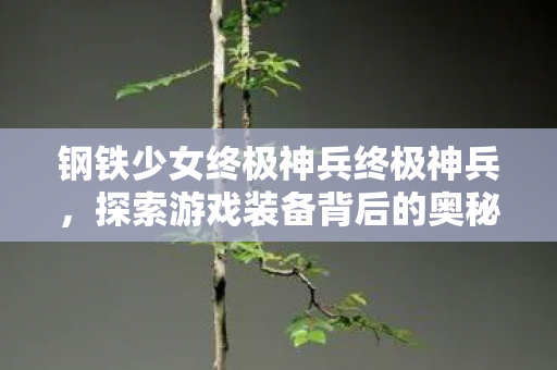 钢铁少女终极神兵终极神兵，探索游戏装备背后的奥秘，钢铁少女，终极神兵背后的奥秘