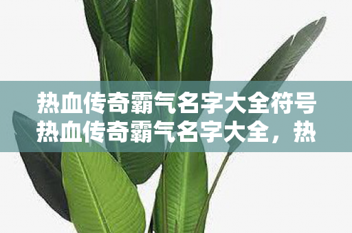 热血传奇霸气名字大全符号热血传奇霸气名字大全,热血传奇霸气名字大全 热血传奇霸气名字大全符号热血传奇霸气名字大全,热血传奇霸气名字大全