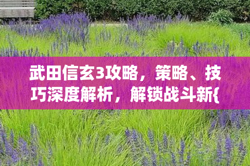 武田信玄3攻略,策略、技巧深度解析,解锁战斗新{战术} 武田信玄3攻略,策略、技巧深度解析,解锁战斗新{战术}